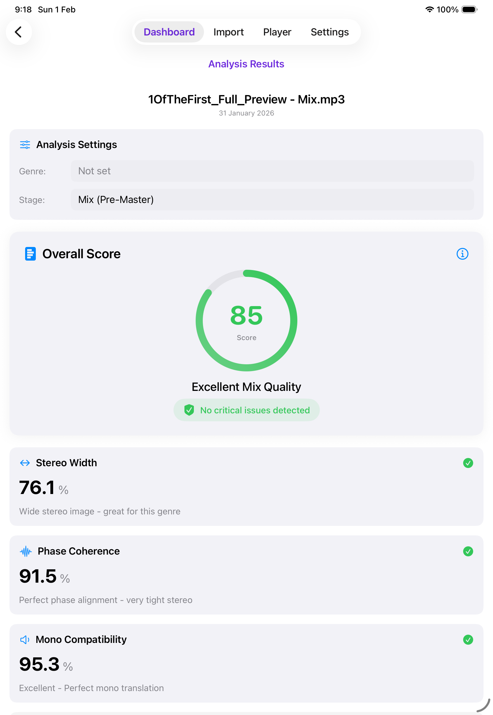 MixDoctor Analysis Results - Professional audio metrics and AI recommendations on iPad